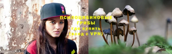 ГАЛЛЮЦИНОГЕННЫЕ ГРИБЫ Пестово