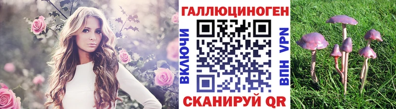 гидра маркетплейс  Серов  Галлюциногенные грибы Psilocybe 