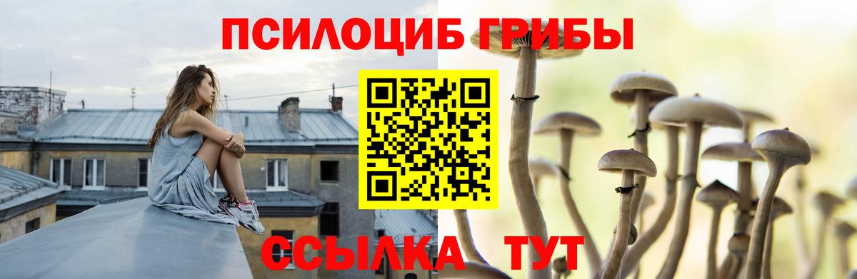 что такое наркотик  Вход с VPN  Псилоцибиновые грибы мицелий  Серов  Галлюциногенные грибы Psilocybine cubensis 